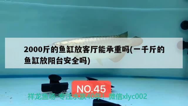 2000斤的魚缸放客廳能承重嗎(一千斤的魚缸放陽臺安全嗎)