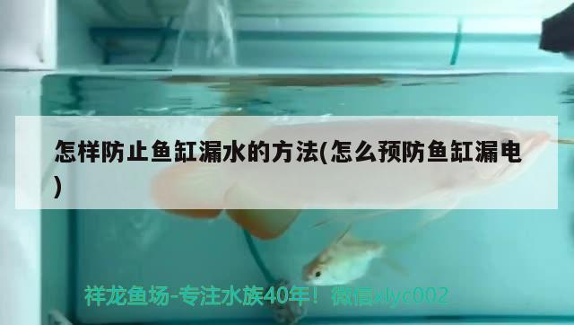 怎樣防止魚缸漏水的方法(怎么預(yù)防魚缸漏電)