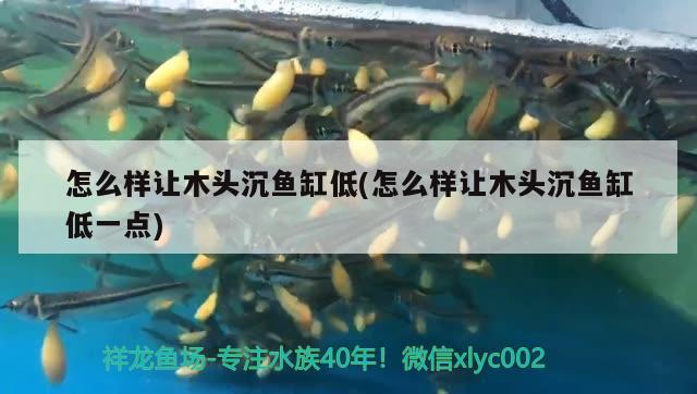 怎么樣讓木頭沉魚缸低(怎么樣讓木頭沉魚缸低一點)