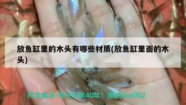 放魚缸里的木頭有哪些材質(zhì)(放魚缸里面的木頭)