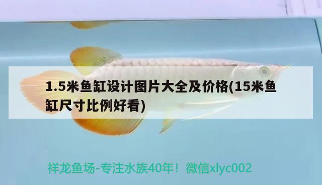 1.5米魚缸設計圖片大全及價格(15米魚缸尺寸比例好看) 巴西亞魚苗