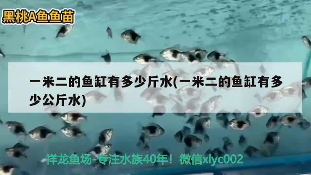 一米二的魚缸有多少斤水(一米二的魚缸有多少公斤水) 一眉道人魚苗