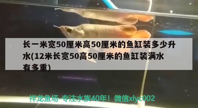 長一米寬50厘米高50厘米的魚缸裝多少升水(12米長寬50高50厘米的魚缸裝滿水有多重) 成吉思汗鯊（球鯊）魚