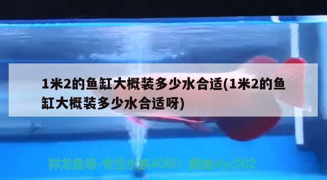 1米2的魚(yú)缸大概裝多少水合適(1米2的魚(yú)缸大概裝多少水合適呀)