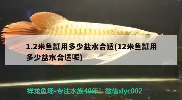 1.2米魚缸用多少鹽水合適(12米魚缸用多少鹽水合適呢) 馬拉莫寶石魚苗