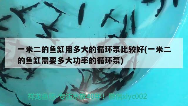 一米二的魚缸用多大的循環(huán)泵比較好(一米二的魚缸需要多大功率的循環(huán)泵)