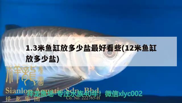 1.3米魚缸放多少鹽最好看些(12米魚缸放多少鹽) 白玉紅龍魚