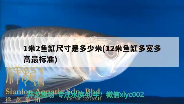 1米2魚(yú)缸尺寸是多少米(12米魚(yú)缸多寬多高最標(biāo)準(zhǔn)) 祥禾Super Red紅龍魚(yú) 第3張