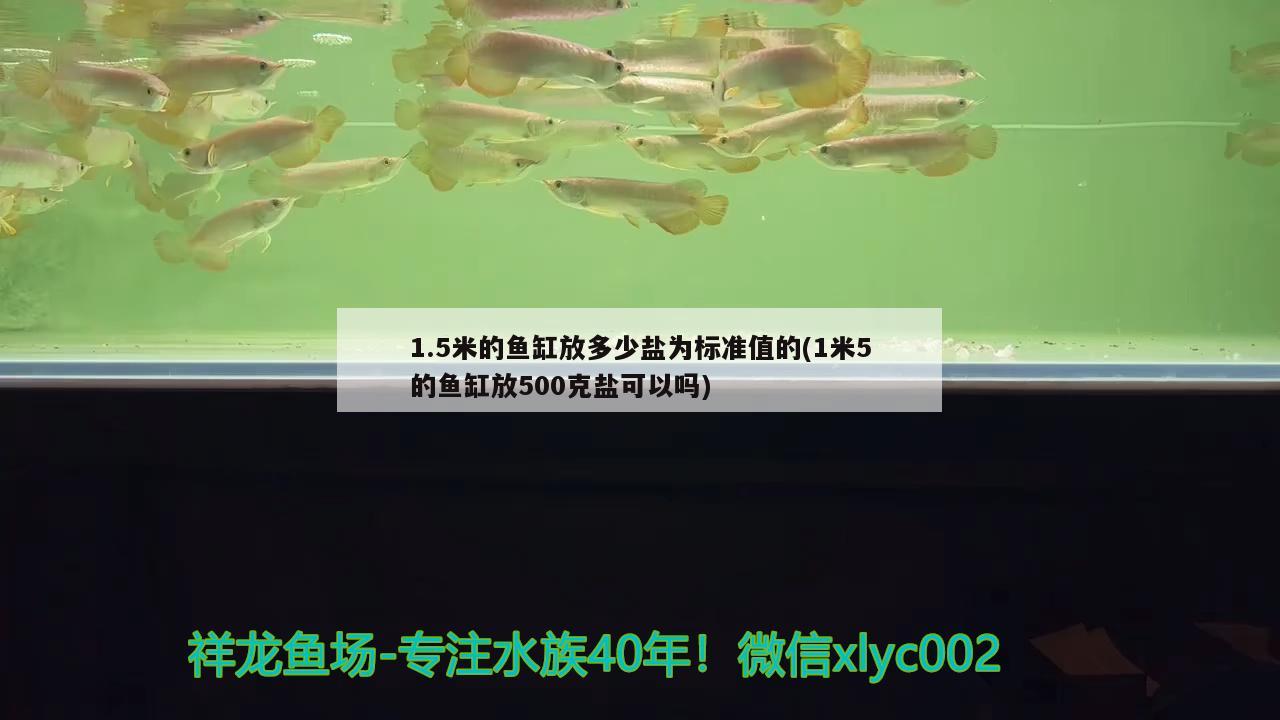 1.5米的魚(yú)缸放多少鹽為標(biāo)準(zhǔn)值的(1米5的魚(yú)缸放500克鹽可以嗎)