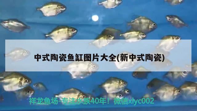 中式陶瓷魚缸圖片大全(新中式陶瓷) 丹頂錦鯉魚 第1張