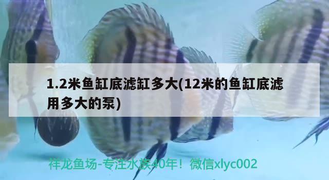 1.2米魚缸底濾缸多大(12米的魚缸底濾用多大的泵)