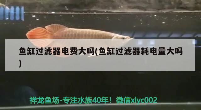 魚缸過濾器電費(fèi)大嗎(魚缸過濾器耗電量大嗎)