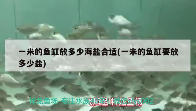 一米的魚缸放多少海鹽合適(一米的魚缸要放多少鹽) 福魟魟魚