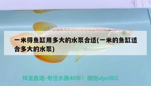 一米得魚缸用多大的水泵合適(一米的魚缸適合多大的水泵) 彩鰈魚缸（彩蝶魚缸）