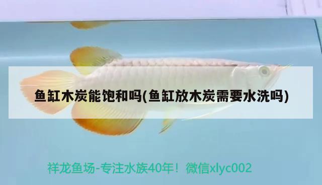 魚缸木炭能飽和嗎(魚缸放木炭需要水洗嗎)