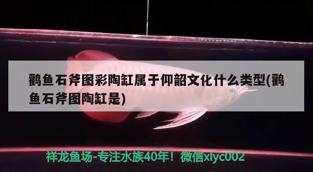 鸛魚(yú)石斧圖彩陶缸屬于仰韶文化什么類(lèi)型(鸛魚(yú)石斧圖陶缸是) 觀賞魚(yú)