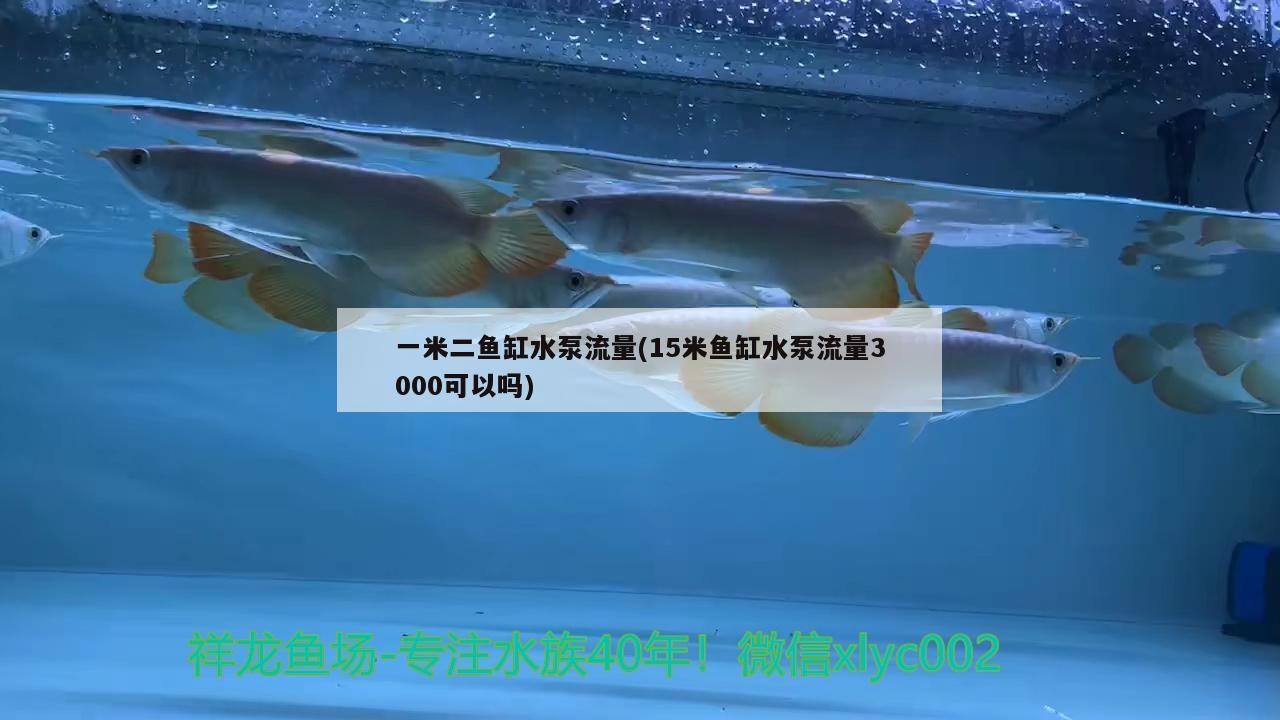 一米二魚缸水泵流量(15米魚缸水泵流量3000可以嗎) 魚缸水泵 第2張