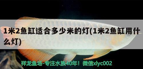 1米2魚缸適合多少米的燈(1米2魚缸用什么燈)