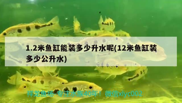 1.2米魚缸能裝多少升水呢(12米魚缸裝多少公升水) 黑帝王魟魚