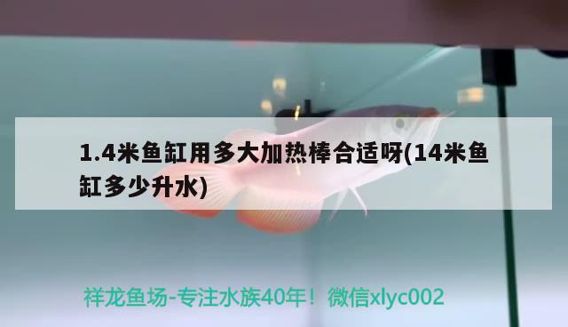 1.4米魚缸用多大加熱棒合適呀(14米魚缸多少升水) 廣州觀賞魚魚苗批發(fā)市場(chǎng)