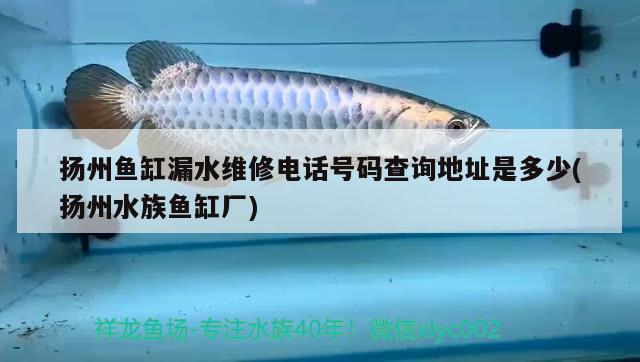 揚州魚缸漏水維修電話號碼查詢地址是多少(揚州水族魚缸廠) 水族燈（魚缸燈）