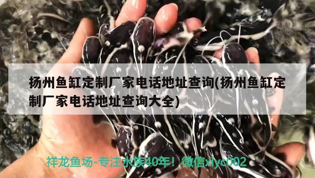 揚(yáng)州魚缸定制廠家電話地址查詢(揚(yáng)州魚缸定制廠家電話地址查詢大全) 南美異型魚