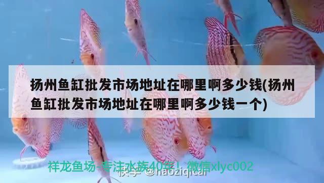 揚州魚缸批發(fā)市場地址在哪里啊多少錢(揚州魚缸批發(fā)市場地址在哪里啊多少錢一個)