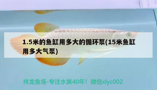 1.5米的魚缸用多大的循環(huán)泵(15米魚缸用多大氣泵) 申古銀版魚