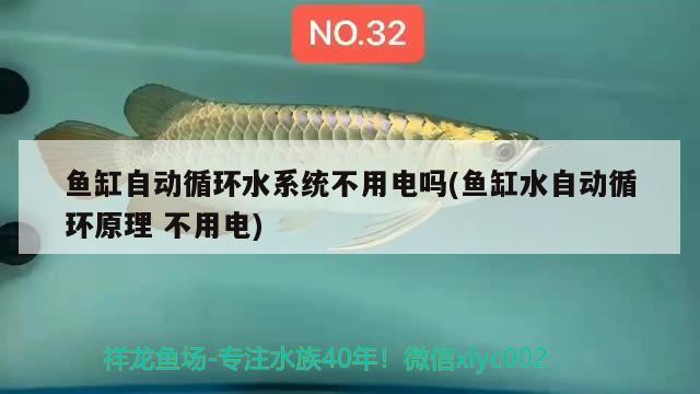 魚缸自動循環(huán)水系統(tǒng)不用電嗎(魚缸水自動循環(huán)原理不用電) 硝化細(xì)菌