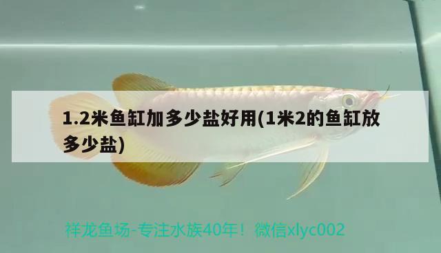 1.2米魚缸加多少鹽好用(1米2的魚缸放多少鹽) 黑影道人魚