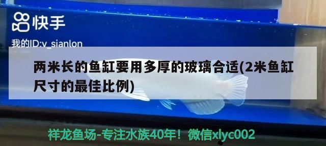 兩米長的魚缸要用多厚的玻璃合適(2米魚缸尺寸的最佳比例) 飛鳳魚苗