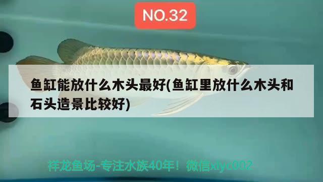 魚缸能放什么木頭最好(魚缸里放什么木頭和石頭造景比較好)