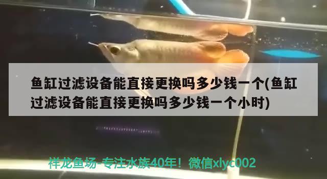 魚缸過濾設(shè)備能直接更換嗎多少錢一個(魚缸過濾設(shè)備能直接更換嗎多少錢一個小時)