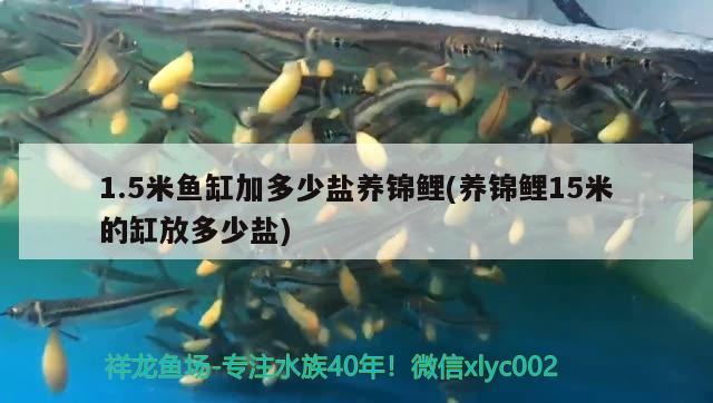 1.5米魚(yú)缸加多少鹽養(yǎng)錦鯉(養(yǎng)錦鯉15米的缸放多少鹽)