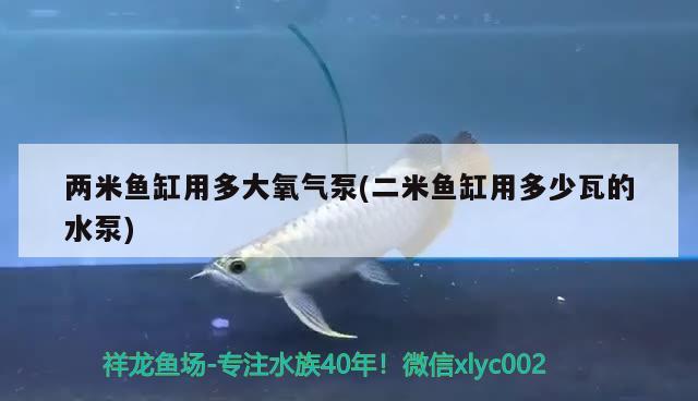 兩米魚缸用多大氧氣泵(二米魚缸用多少瓦的水泵) 祥龍水族護理水