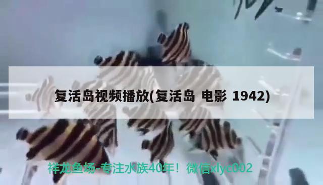 復活島視頻播放(復活島電影1942) 觀賞魚