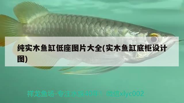 純實木魚缸低座圖片大全(實木魚缸底柜設計圖)