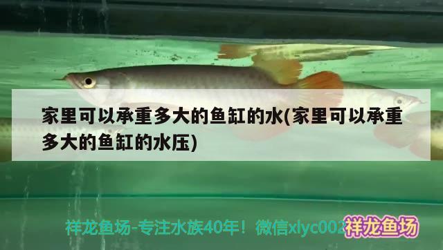 家里可以承重多大的魚缸的水(家里可以承重多大的魚缸的水壓)