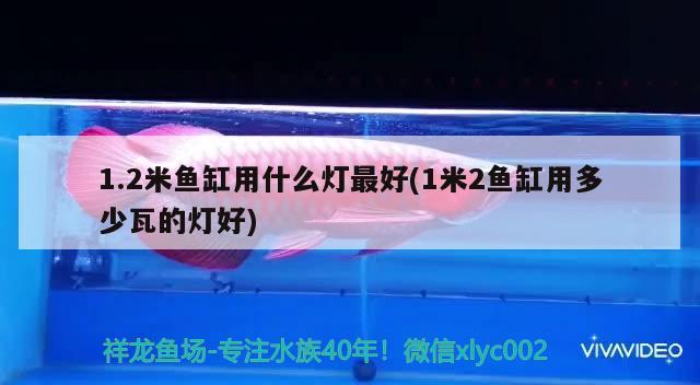 1.2米魚缸用什么燈最好(1米2魚缸用多少瓦的燈好)