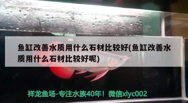 魚缸改善水質用什么石材比較好(魚缸改善水質用什么石材比較好呢)