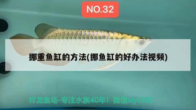 挪重魚缸的方法(挪魚缸的好辦法視頻) 大嘴鯨魚