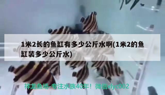 1米2長的魚缸有多少公斤水啊(1米2的魚缸裝多少公斤水) 廣州水族器材濾材批發(fā)市場 第2張