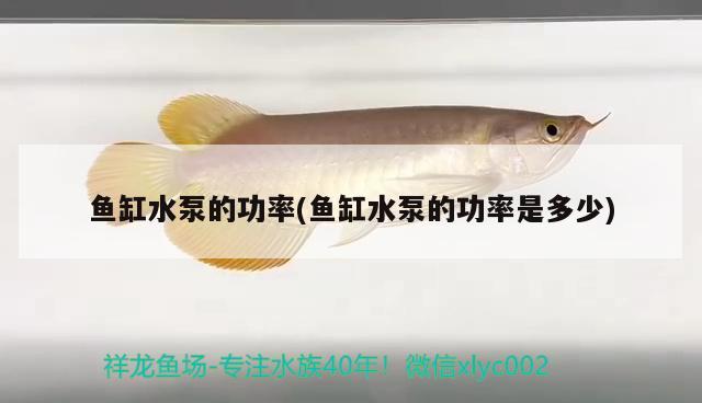 魚缸水泵的功率(魚缸水泵的功率是多少)