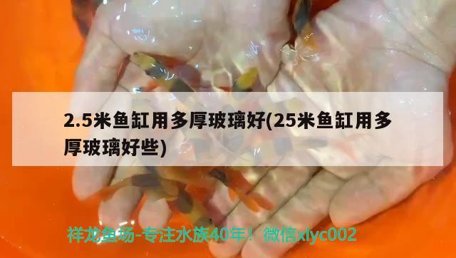 2.5米魚缸用多厚玻璃好(25米魚缸用多厚玻璃好些)