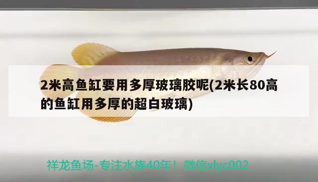 2米高魚缸要用多厚玻璃膠呢(2米長80高的魚缸用多厚的超白玻璃)