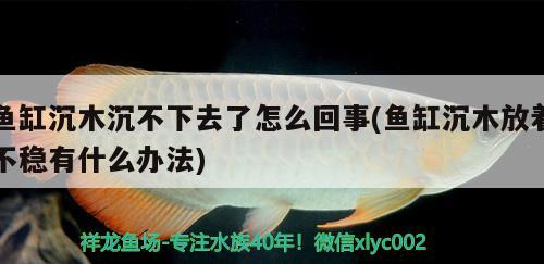 魚缸沉木沉不下去了怎么回事(魚缸沉木放著不穩(wěn)有什么辦法)