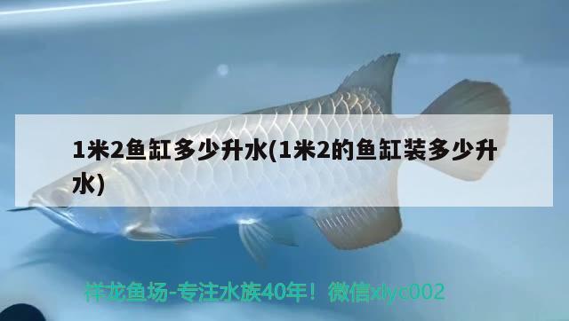 1米2魚缸多少升水(1米2的魚缸裝多少升水)