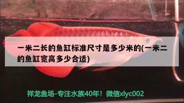 一米二長的魚缸標(biāo)準(zhǔn)尺寸是多少米的(一米二的魚缸寬高多少合適) 廣州龍魚批發(fā)市場 第2張