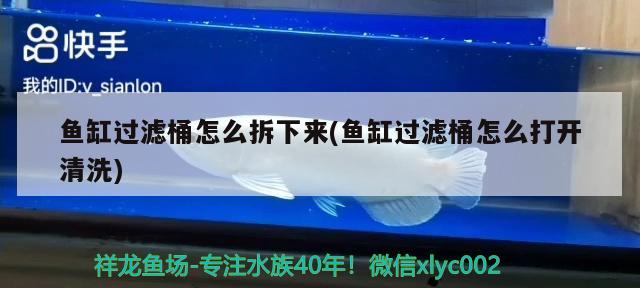 魚缸過濾桶怎么拆下來(魚缸過濾桶怎么打開清洗) 水族雜談