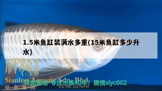 1.5米魚缸裝滿水多重(15米魚缸多少升水) 黃金斑馬魚